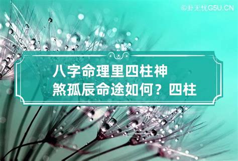 孤辰是修行命格嗎|什麼是孤辰寡宿？講解孤辰八字、孤辰夫妻命宮、孤星。